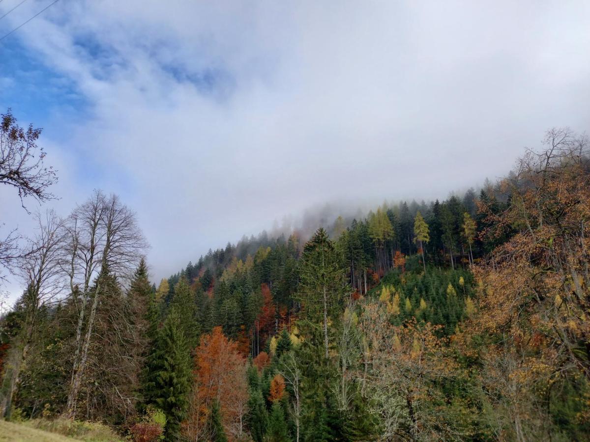 Landhaus Gruenjuwel Himmelberg Bagian luar foto