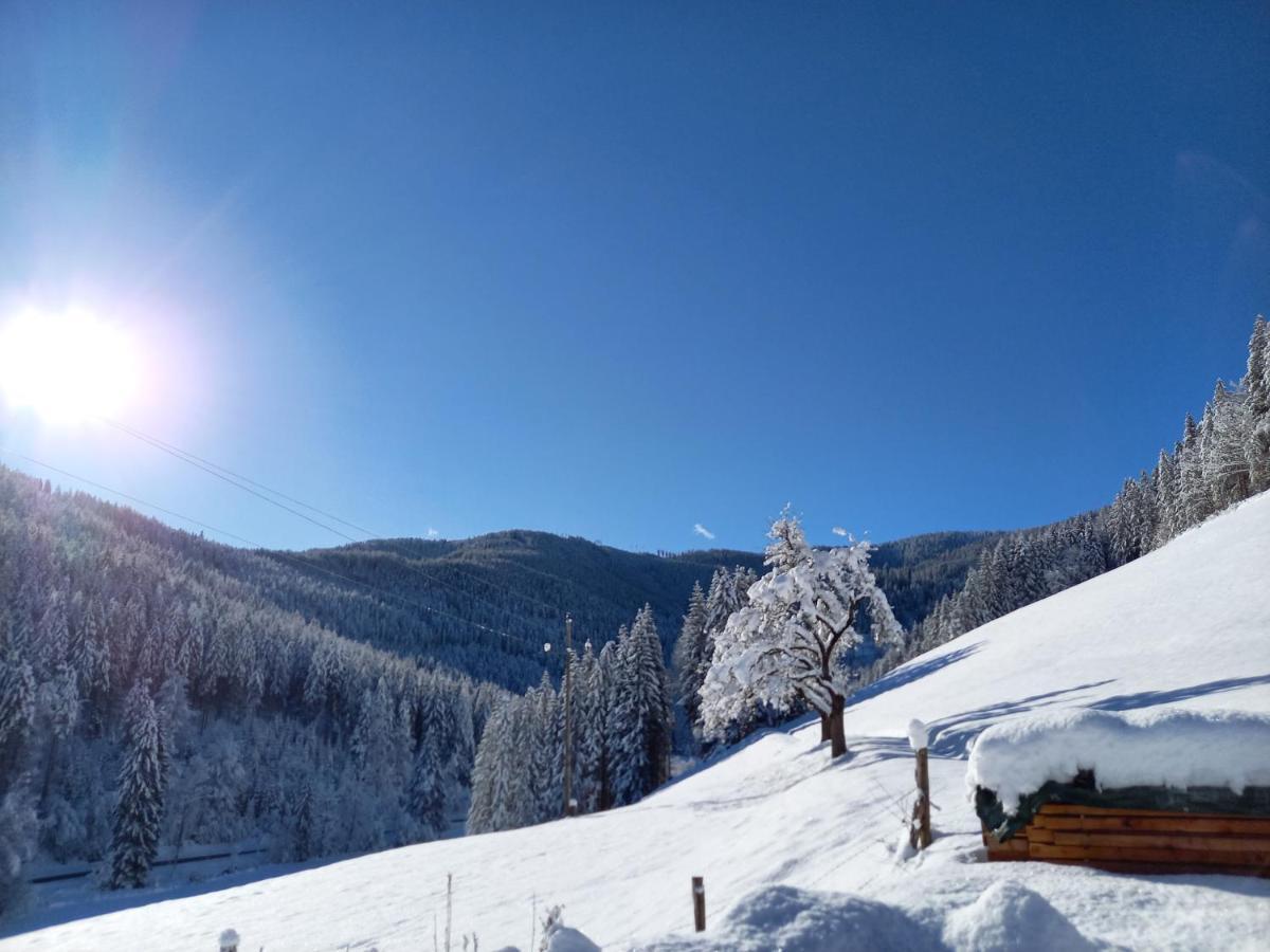 Landhaus Gruenjuwel Himmelberg Bagian luar foto