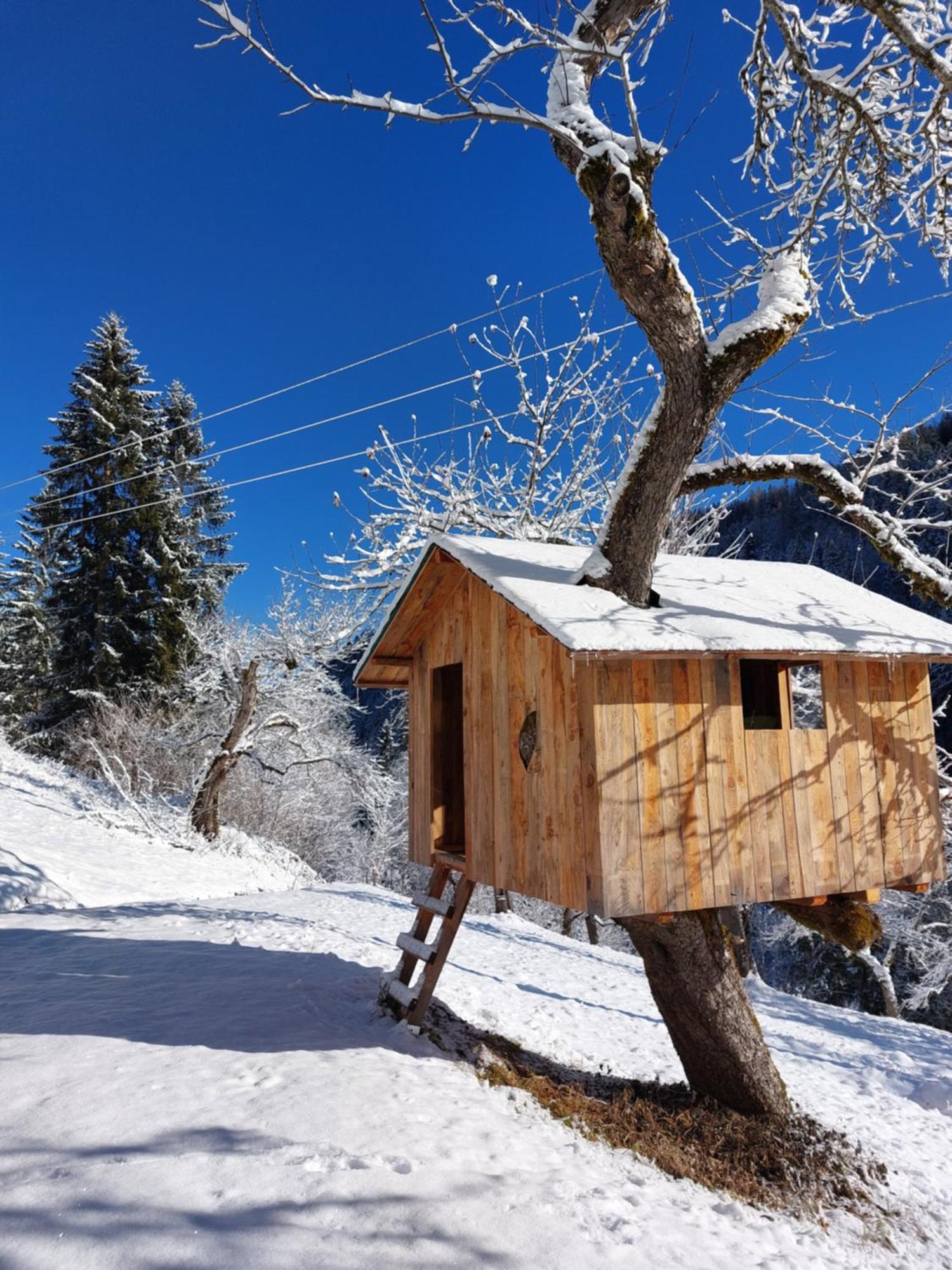Landhaus Gruenjuwel Himmelberg Bagian luar foto
