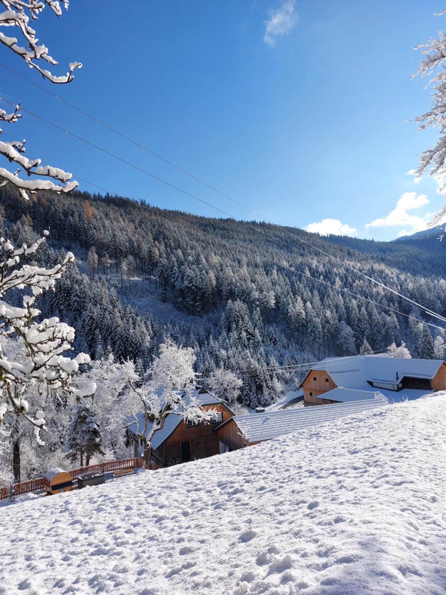 Landhaus Gruenjuwel Himmelberg Bagian luar foto