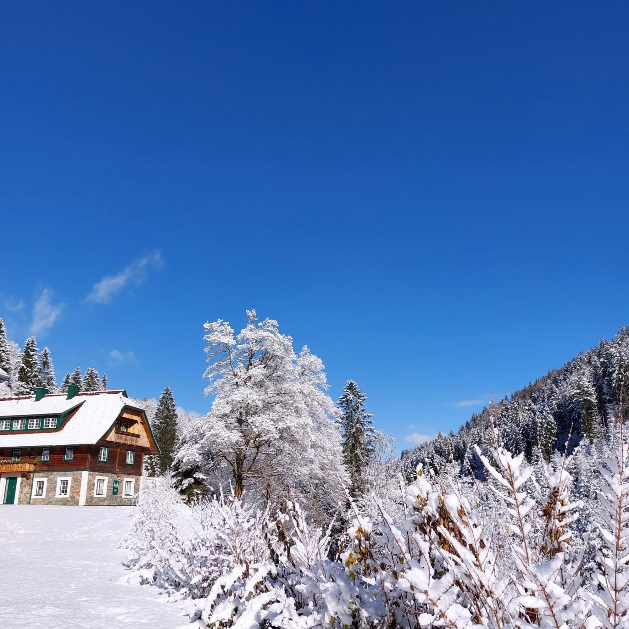 Landhaus Gruenjuwel Himmelberg Bagian luar foto